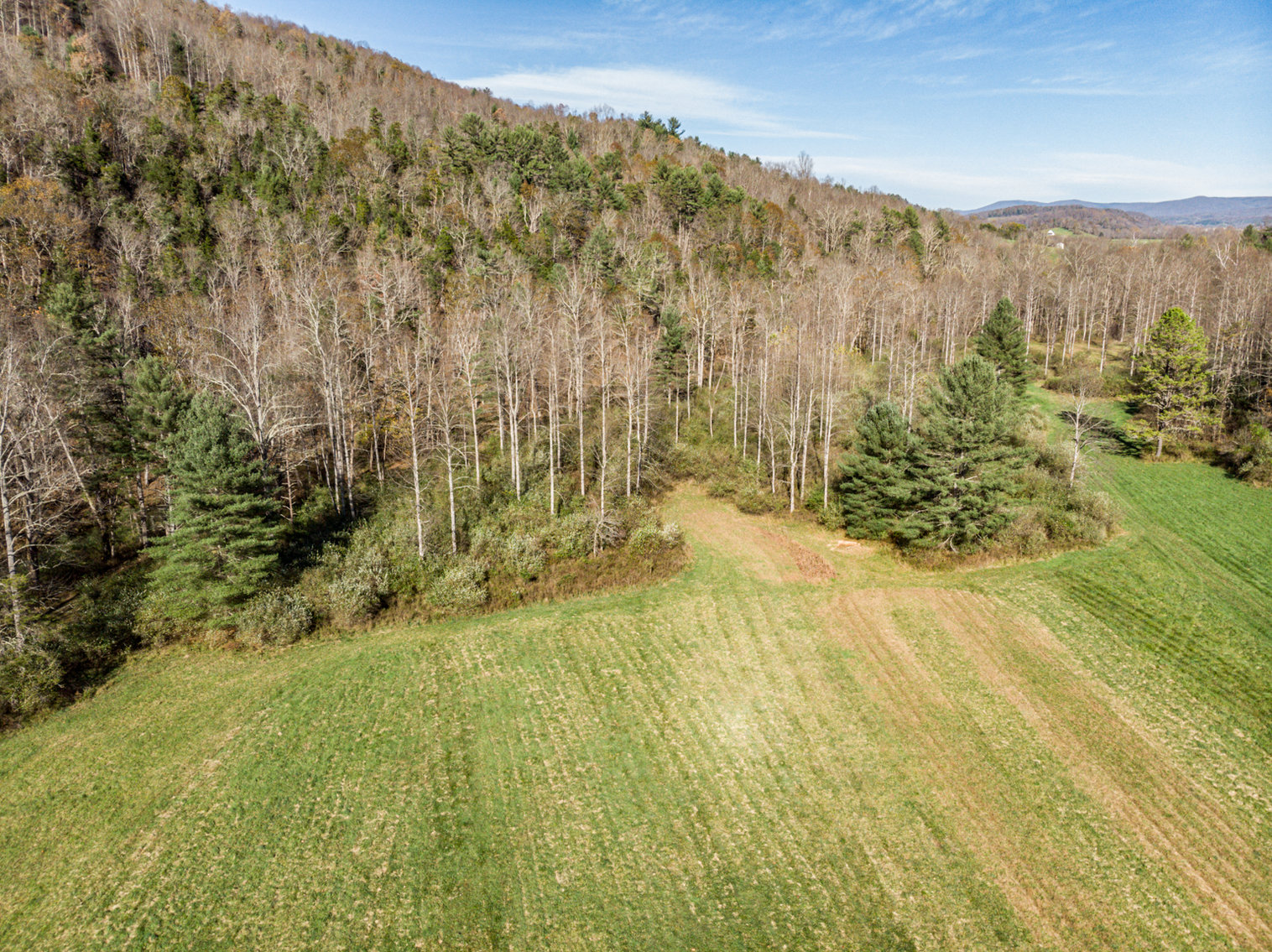 Image for RIVERFRONT LAND AUCTION: 193.9± Acres in 2 Tracts (Rockbridge County, VA)