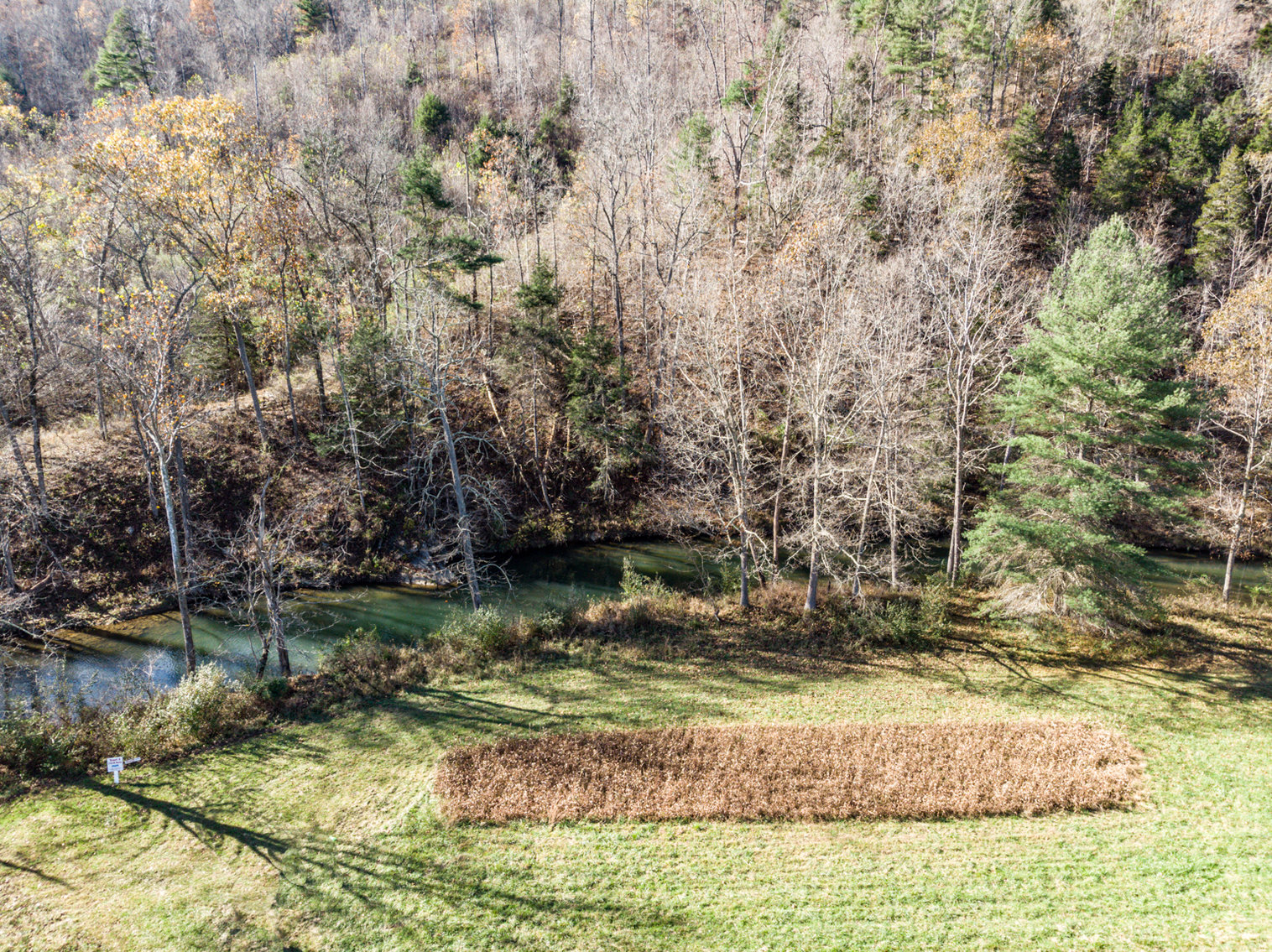 Image for RIVERFRONT LAND AUCTION: 193.9± Acres in 2 Tracts (Rockbridge County, VA)