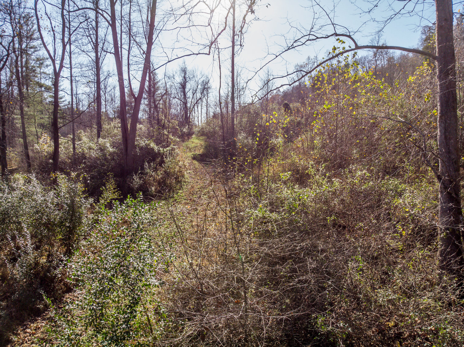 Image for RIVERFRONT LAND AUCTION: 193.9± Acres in 2 Tracts (Rockbridge County, VA)