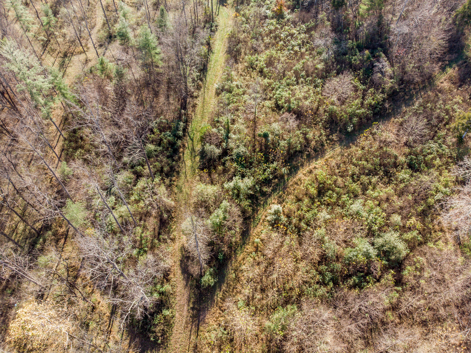 Image for RIVERFRONT LAND AUCTION: 193.9± Acres in 2 Tracts (Rockbridge County, VA)