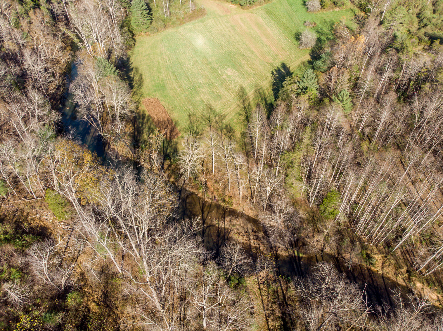 Image for RIVERFRONT LAND AUCTION: 193.9± Acres in 2 Tracts (Rockbridge County, VA)