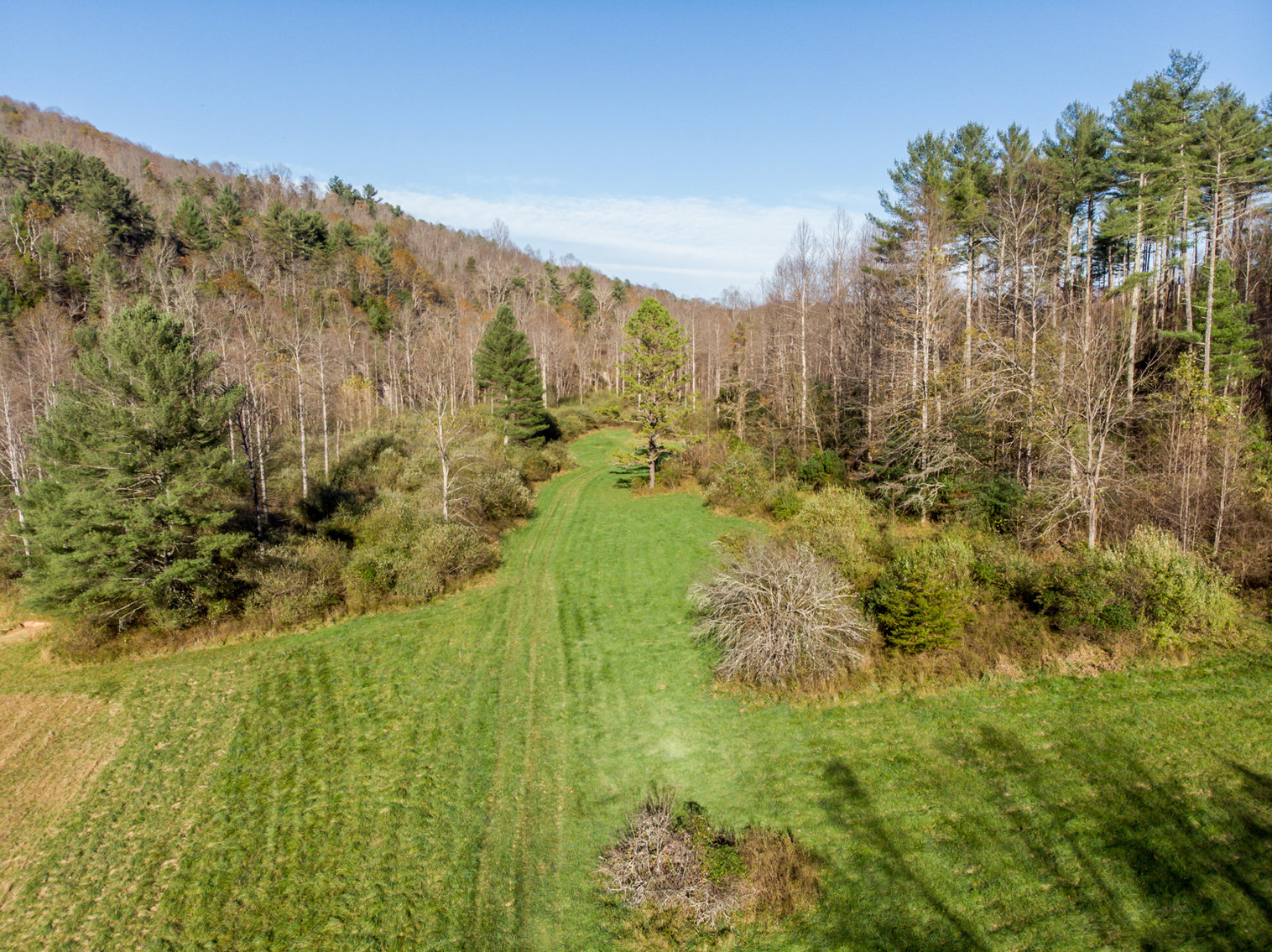 Image for RIVERFRONT LAND AUCTION: 193.9± Acres in 2 Tracts (Rockbridge County, VA)
