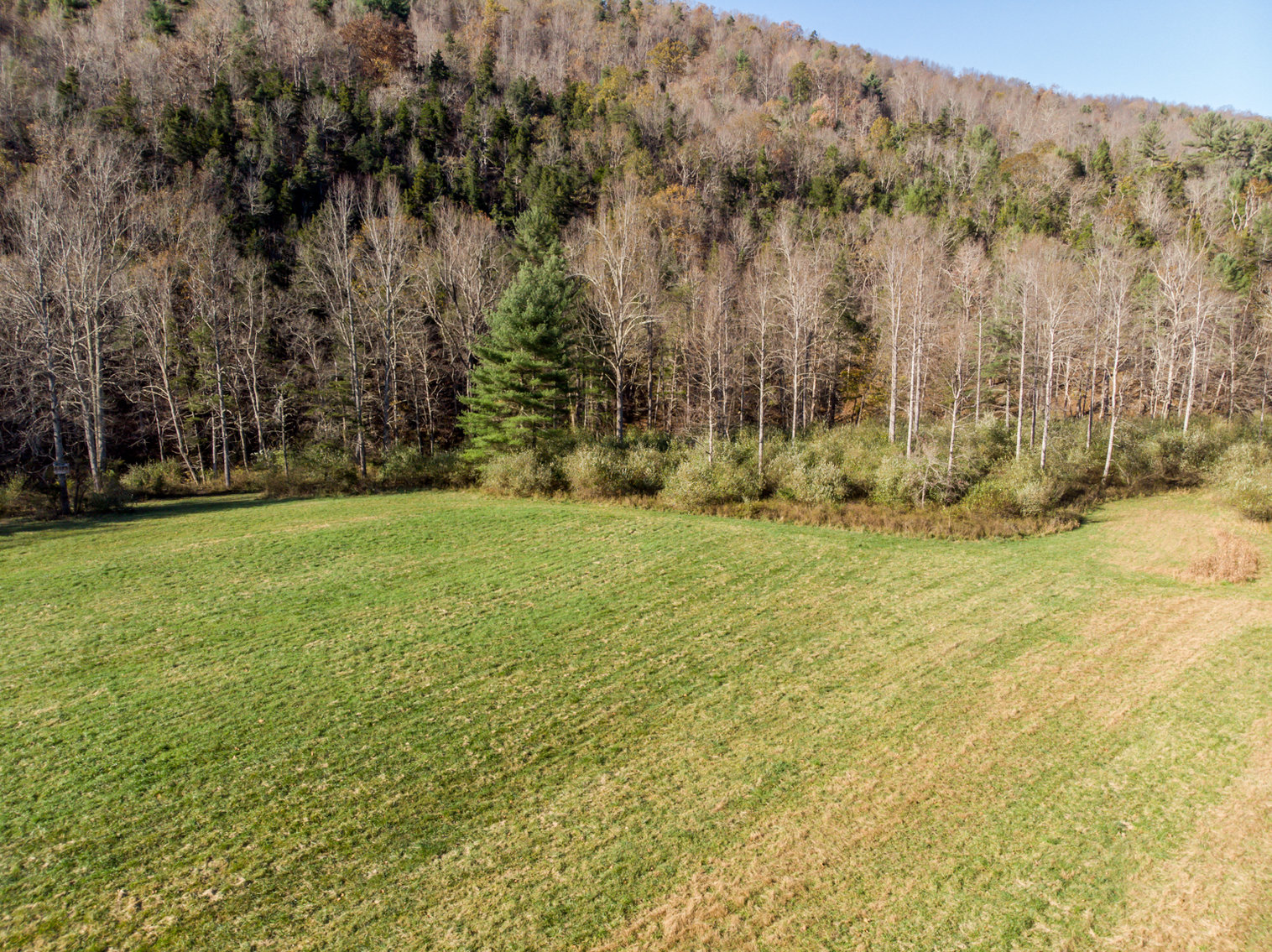 Image for RIVERFRONT LAND AUCTION: 193.9± Acres in 2 Tracts (Rockbridge County, VA)
