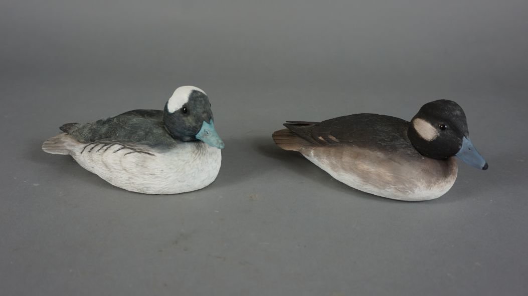 Image for Black Friday Sportsman's Auction 2020