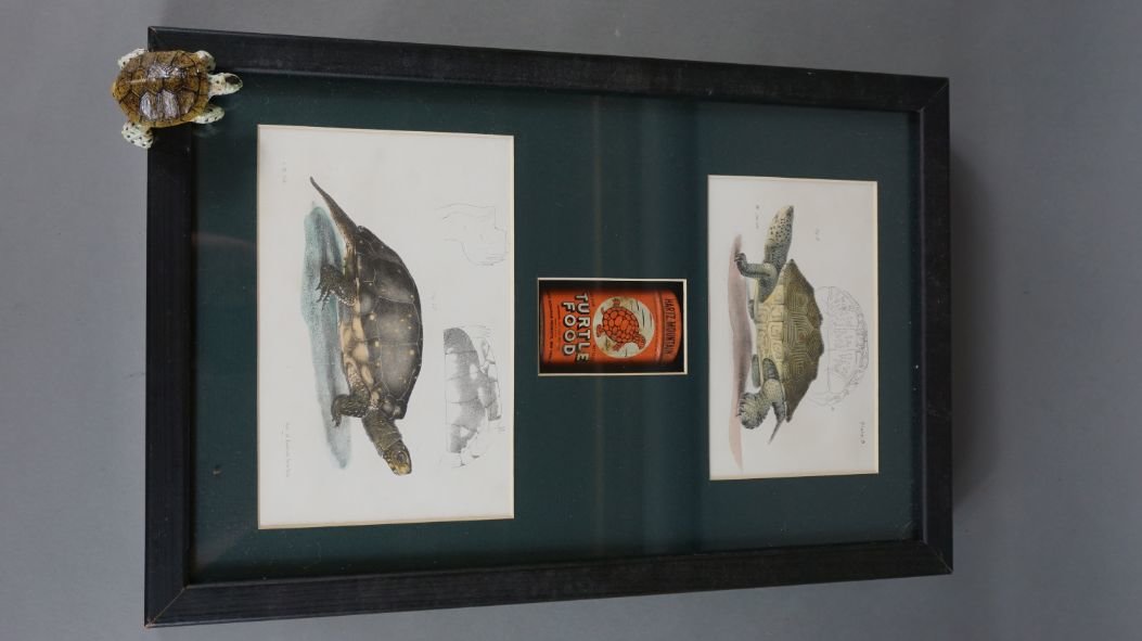 Image for Black Friday Sportsman's Auction 2020