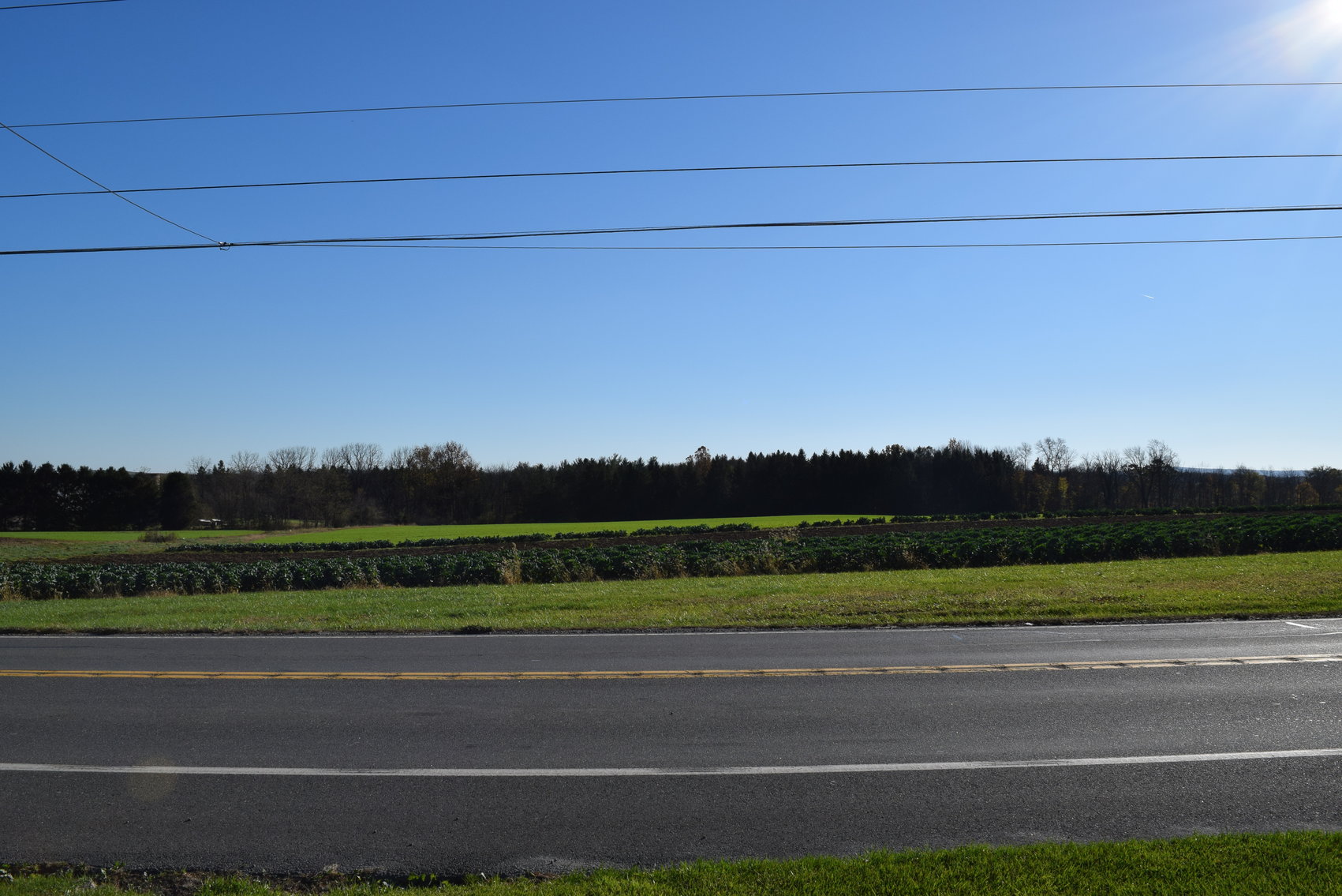 Image for Real Estate Private Showing - By Appointment Only | 1259 Reading Ave. Boyertown, PA 19512  | December 6, 2020