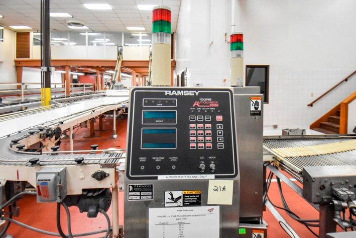 Image for MJK0256 Ramsey Icore Autocheck 8000 Inline Scale