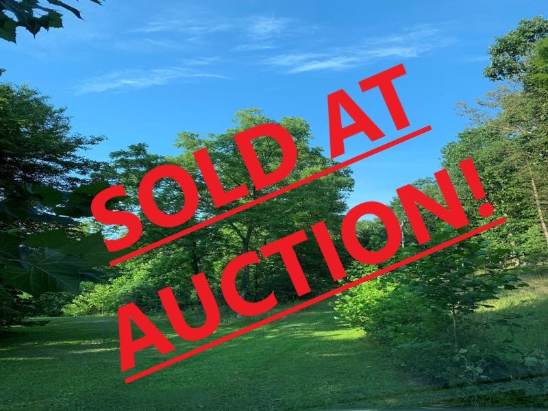 Image for Online Only Auction of 20.00 Acres