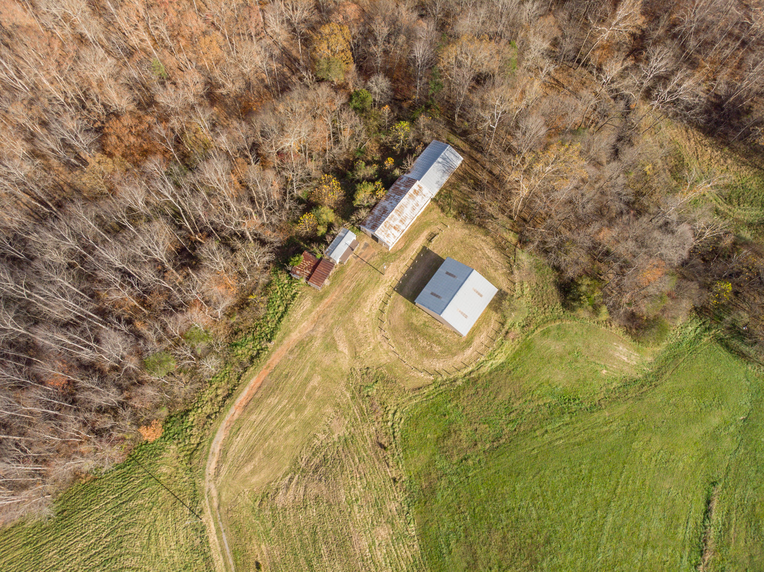 Image for Absolute Auction - Estate of Margaret M. Campbell