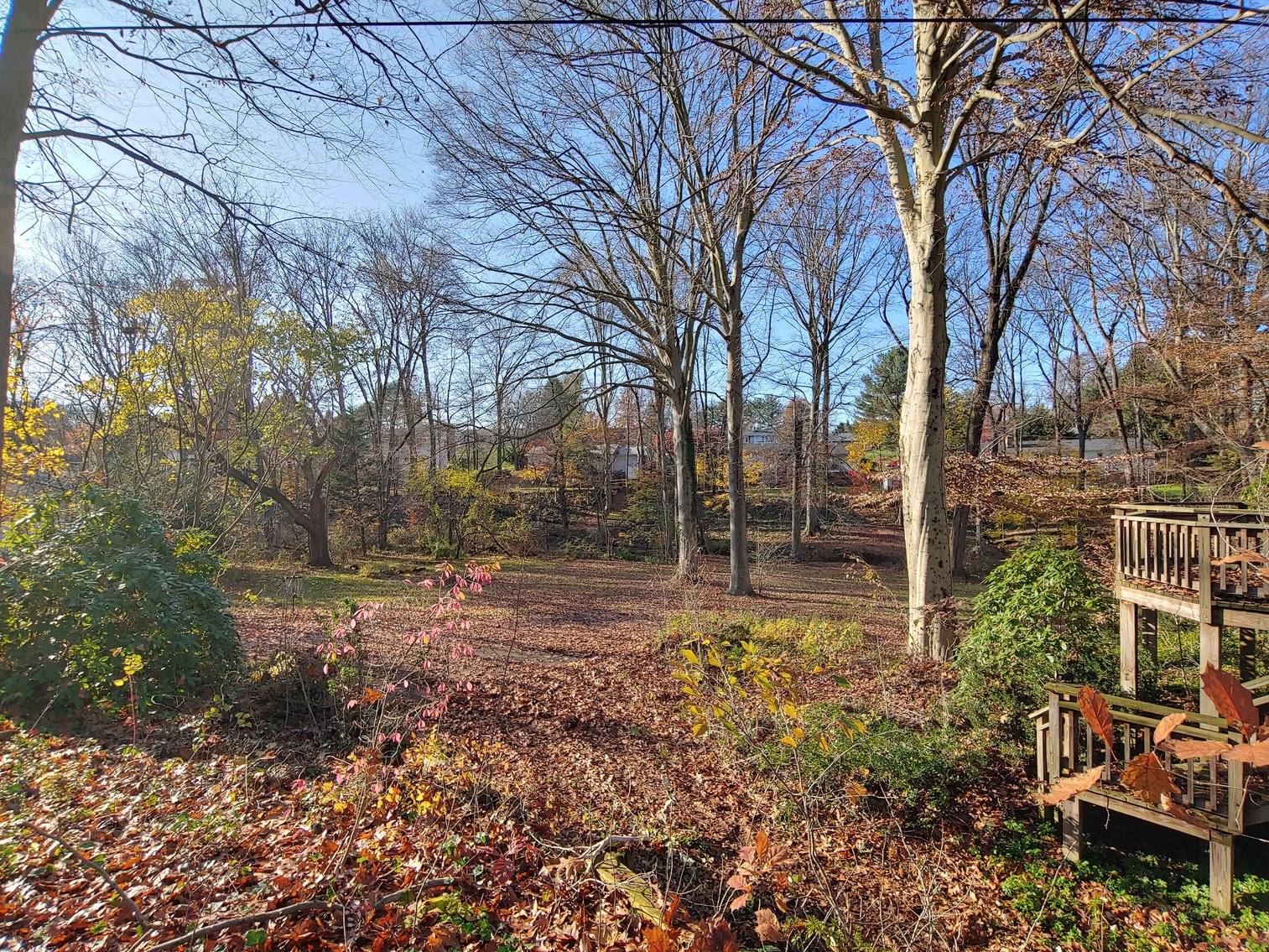 Image for BRICK AND WOOD SIDED TRI-LEVEL HOME 3 BR, 2½ BA ON 1.16 +/- ACRES IN 2 PARCELS