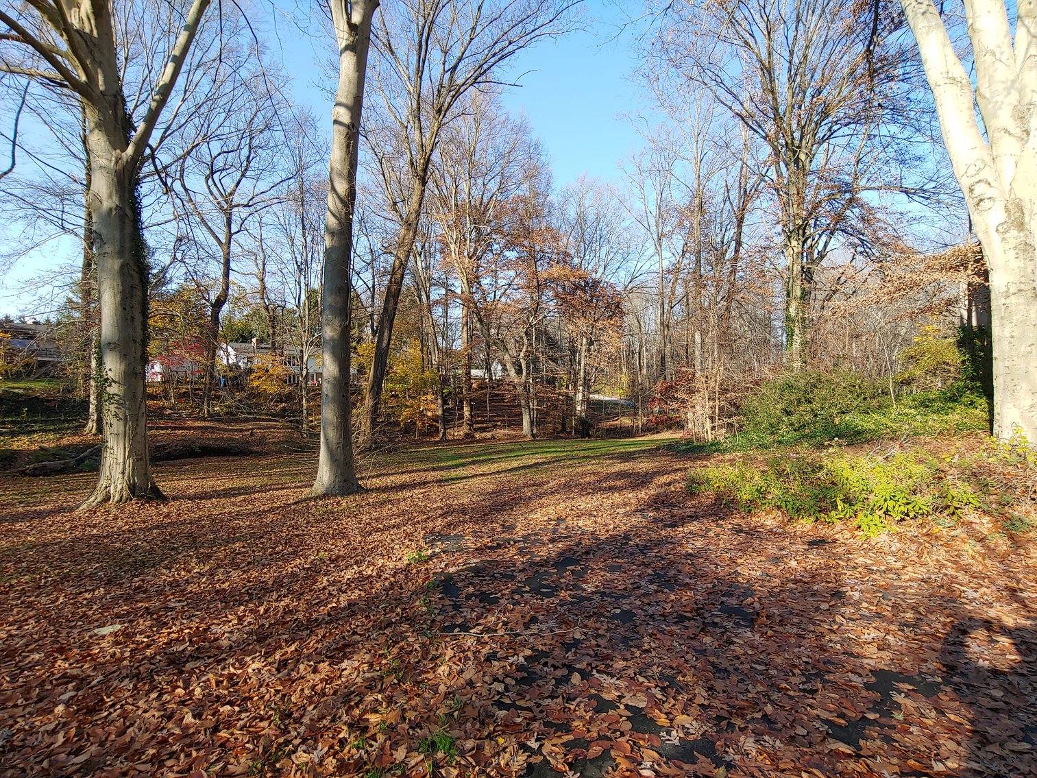 Image for BRICK AND WOOD SIDED TRI-LEVEL HOME 3 BR, 2½ BA ON 1.16 +/- ACRES IN 2 PARCELS