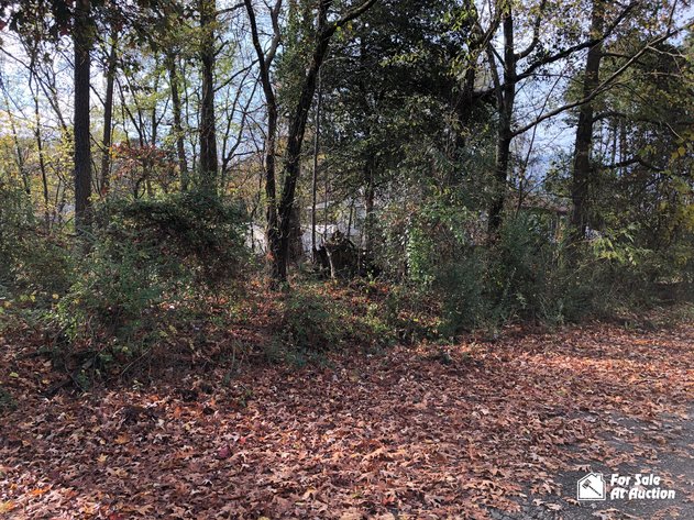 Image for City of Hopewell, VA Tax Delinquent Real Estate December 2020