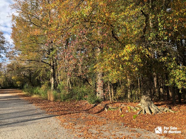 Image for City of Hopewell, VA Tax Delinquent Real Estate December 2020