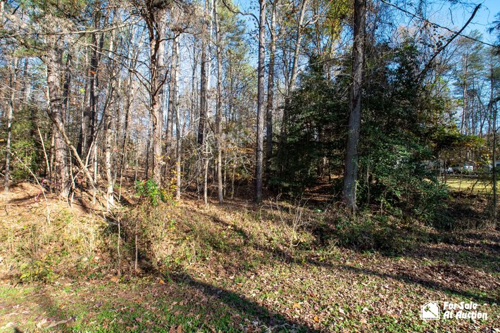 Image for Caroline County, VA Tax Delinquent Real Estate Auction