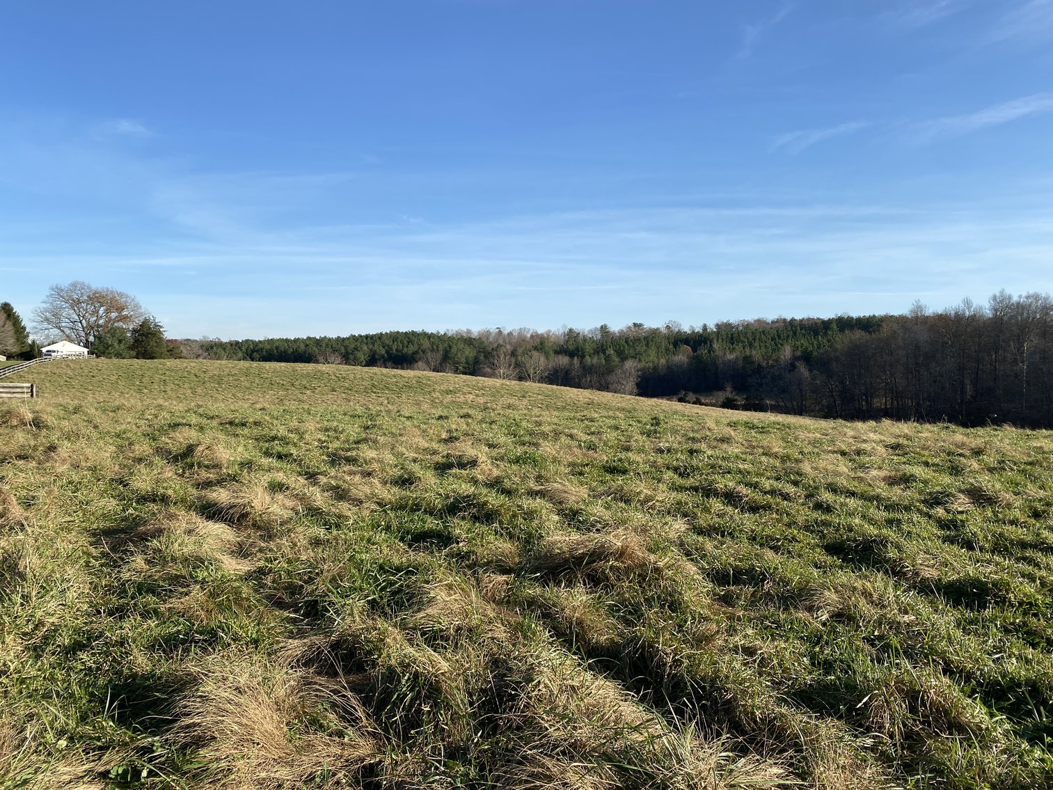 Image for 25.13 +/- Acres w/Creek on Property & 350' +/- of Road Frontage in Madison County, VA--SELLING to the HIGHEST BIDDER!!