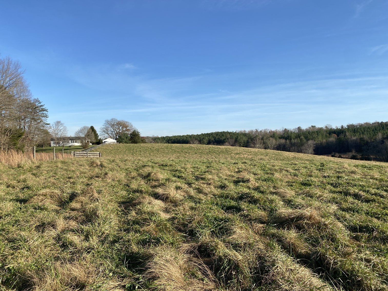 Image for 25.13 +/- Acres w/Creek on Property & 350' +/- of Road Frontage in Madison County, VA--SELLING to the HIGHEST BIDDER!!