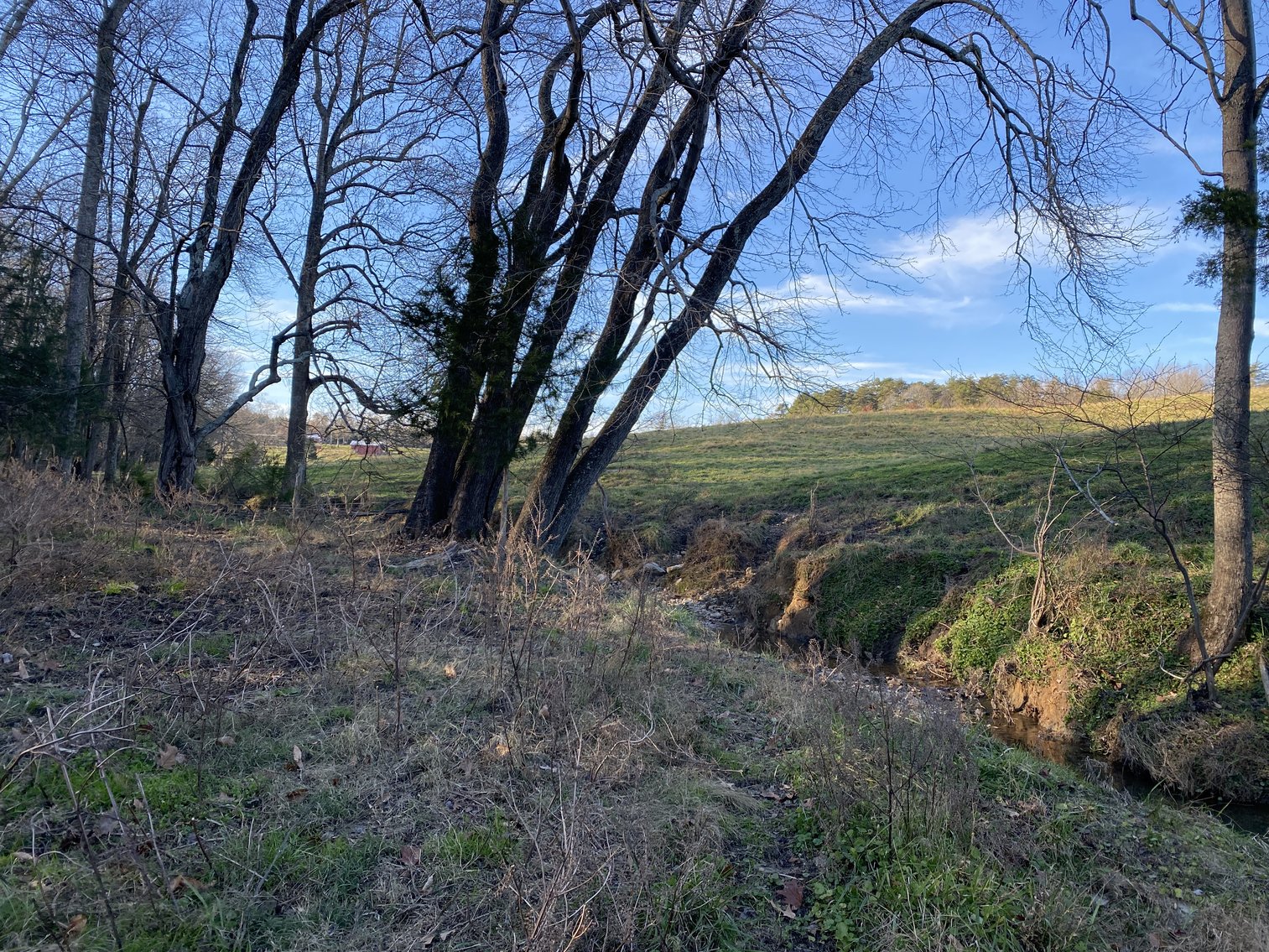 Image for 25.13 +/- Acres w/Creek on Property & 350' +/- of Road Frontage in Madison County, VA--SELLING to the HIGHEST BIDDER!!