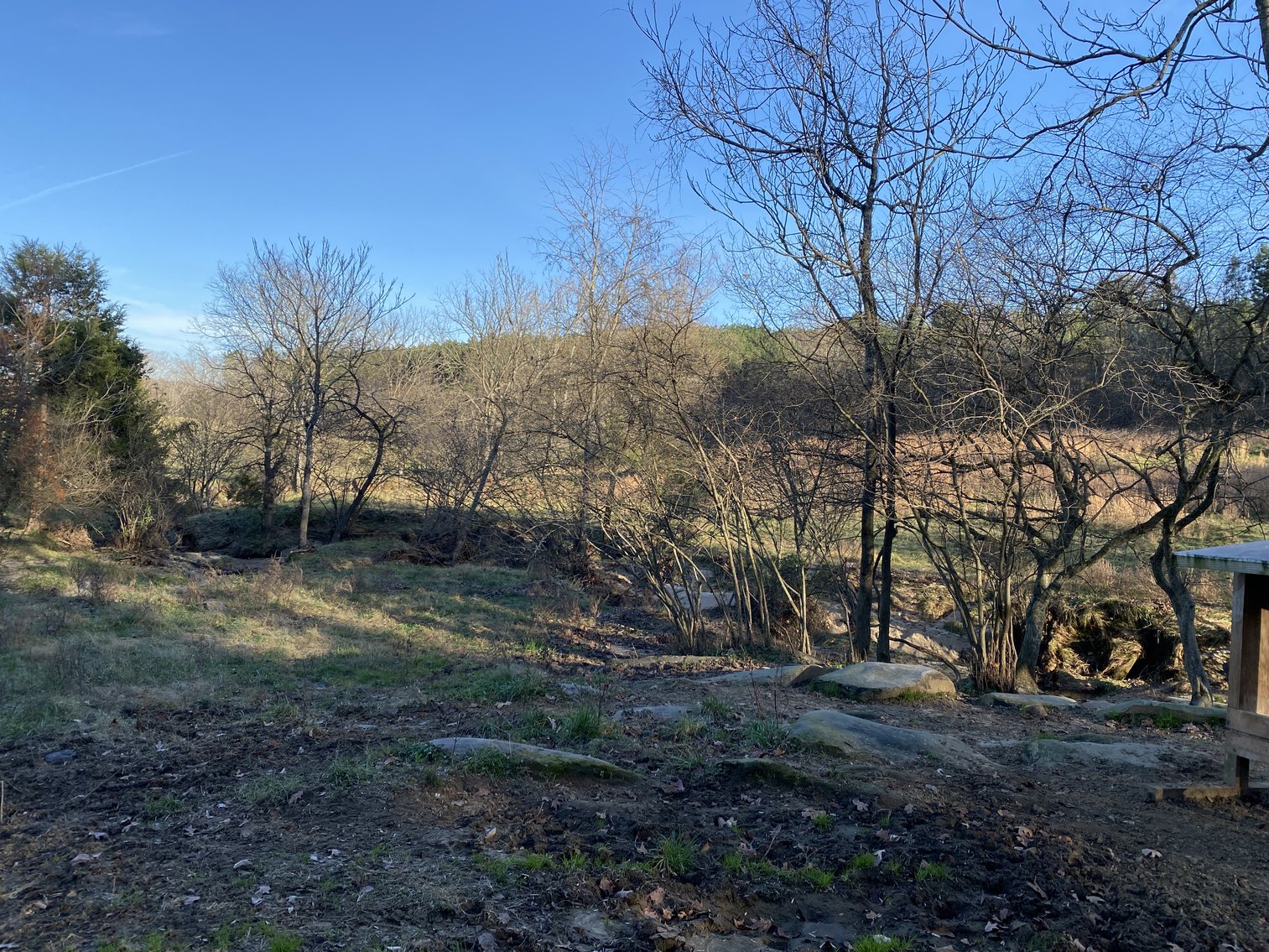 Image for 25.13 +/- Acres w/Creek on Property & 350' +/- of Road Frontage in Madison County, VA--SELLING to the HIGHEST BIDDER!!