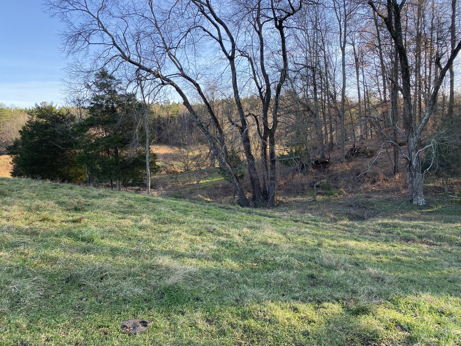 Image for 25.13 +/- Acres w/Creek on Property & 350' +/- of Road Frontage in Madison County, VA--SELLING to the HIGHEST BIDDER!!