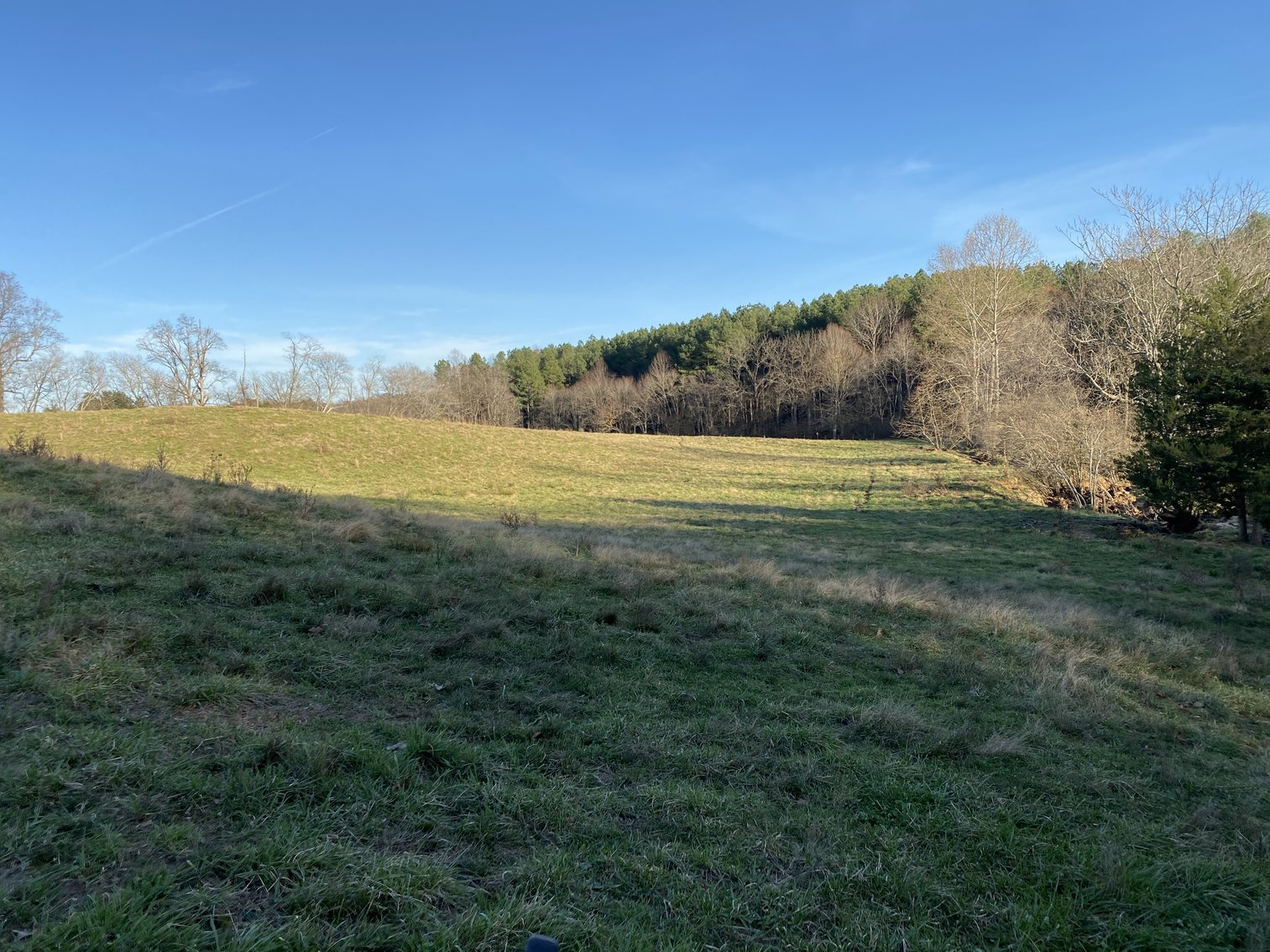 Image for 25.13 +/- Acres w/Creek on Property & 350' +/- of Road Frontage in Madison County, VA--SELLING to the HIGHEST BIDDER!!