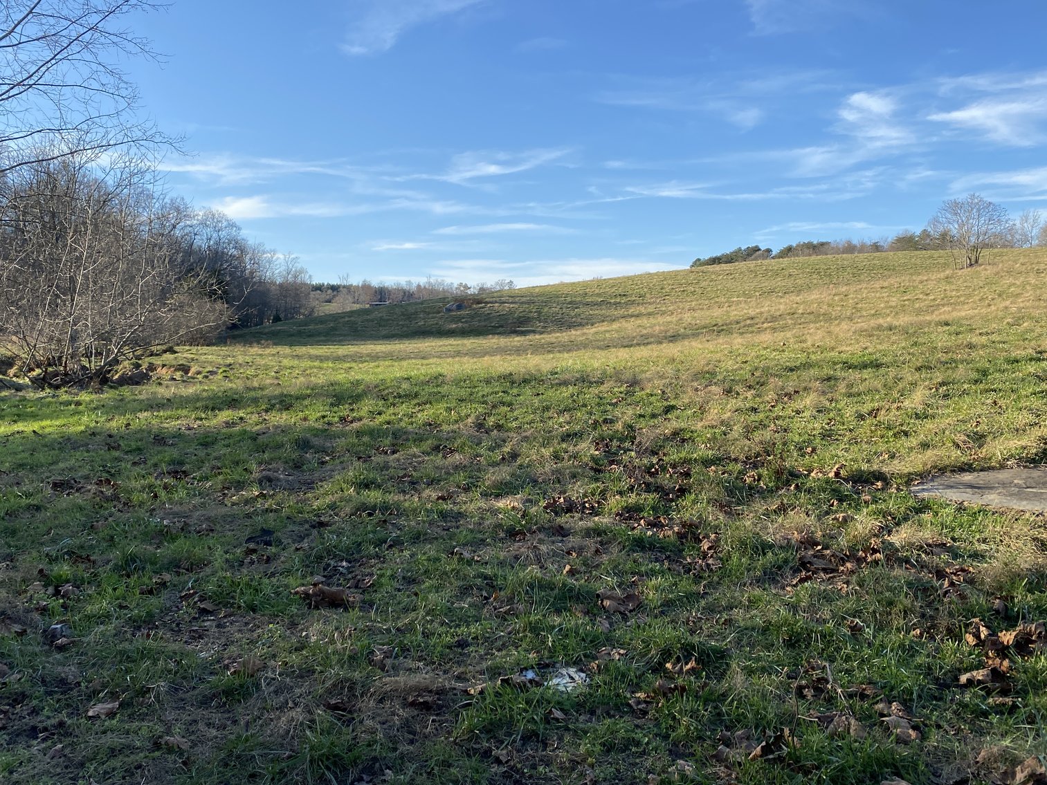 Image for 25.13 +/- Acres w/Creek on Property & 350' +/- of Road Frontage in Madison County, VA--SELLING to the HIGHEST BIDDER!!