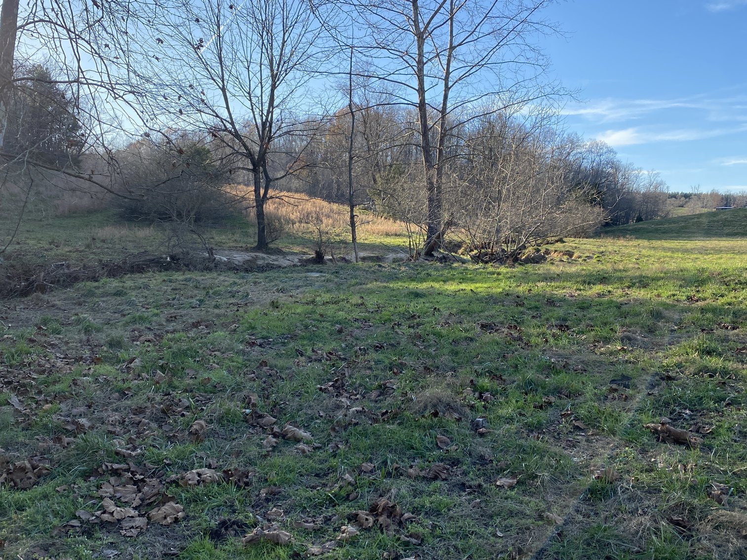 Image for 25.13 +/- Acres w/Creek on Property & 350' +/- of Road Frontage in Madison County, VA--SELLING to the HIGHEST BIDDER!!