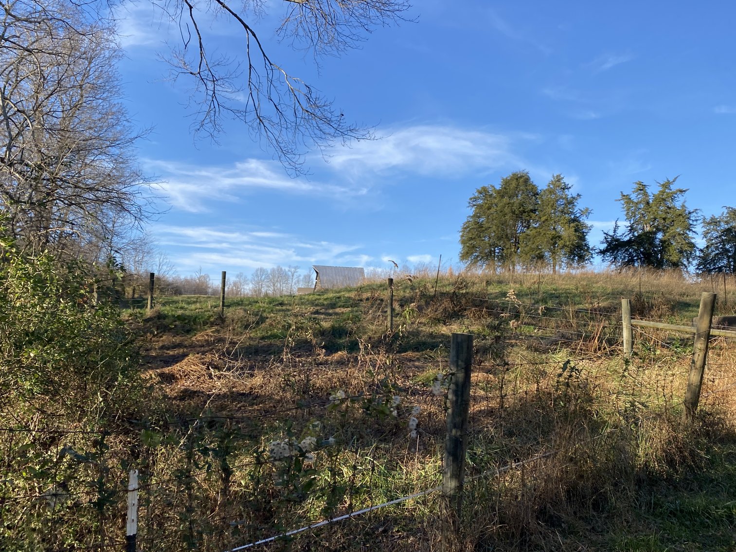 Image for 25.13 +/- Acres w/Creek on Property & 350' +/- of Road Frontage in Madison County, VA--SELLING to the HIGHEST BIDDER!!