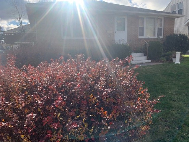 Image for Real Estate | Buffalo NY