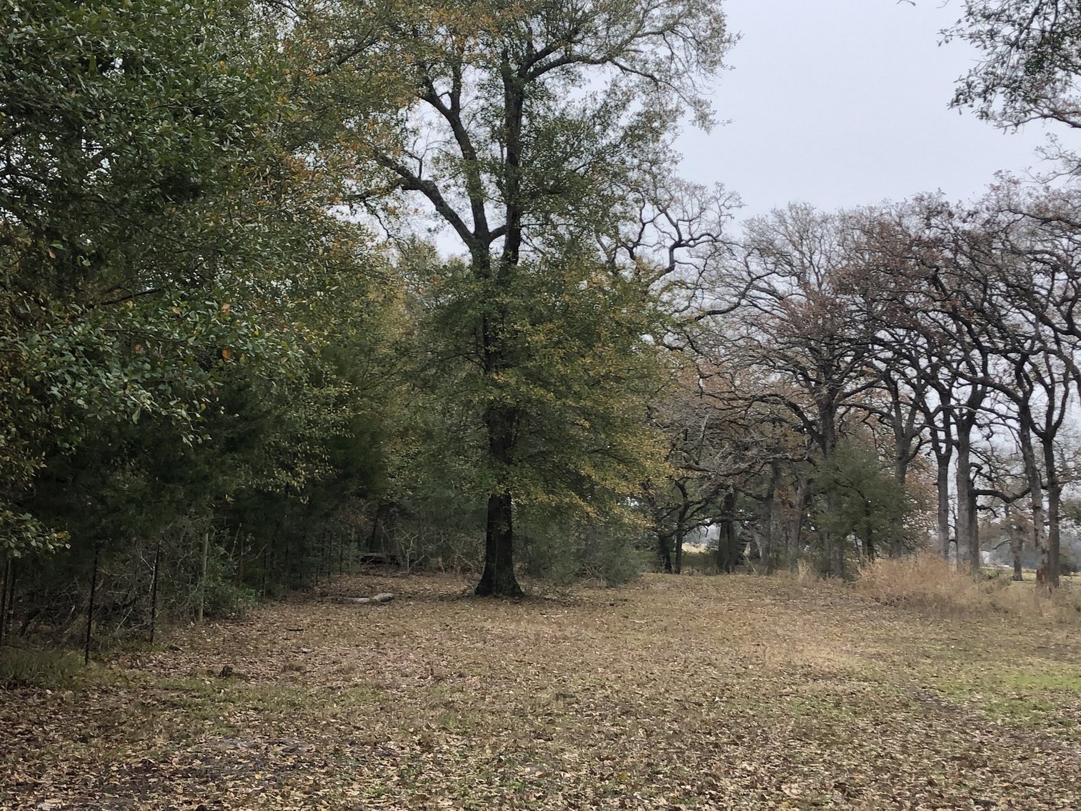 Image for 00 CR 430, Dime Box 77853 - Lee County