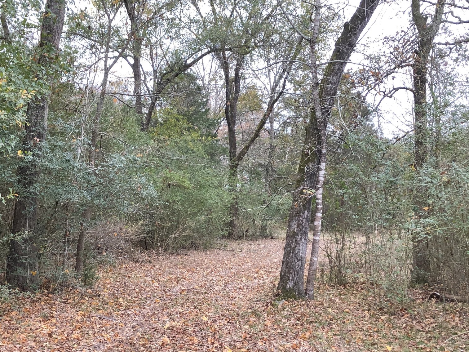 Image for 00 CR 430, Dime Box 77853 - Lee County