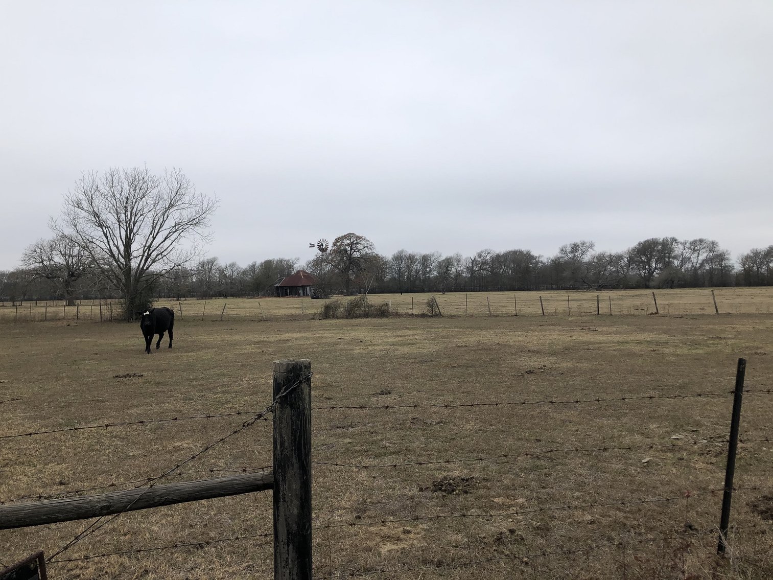 Image for 00 CR 430, Dime Box 77853 - Lee County