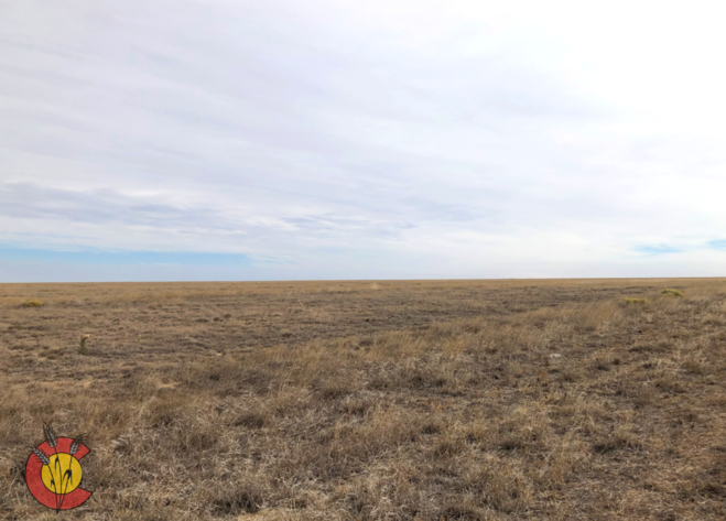 Image for KIOWA COUNTY, CO - CRP (C4059)