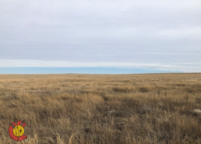 Image for KIOWA COUNTY, CO - CRP (C4059)