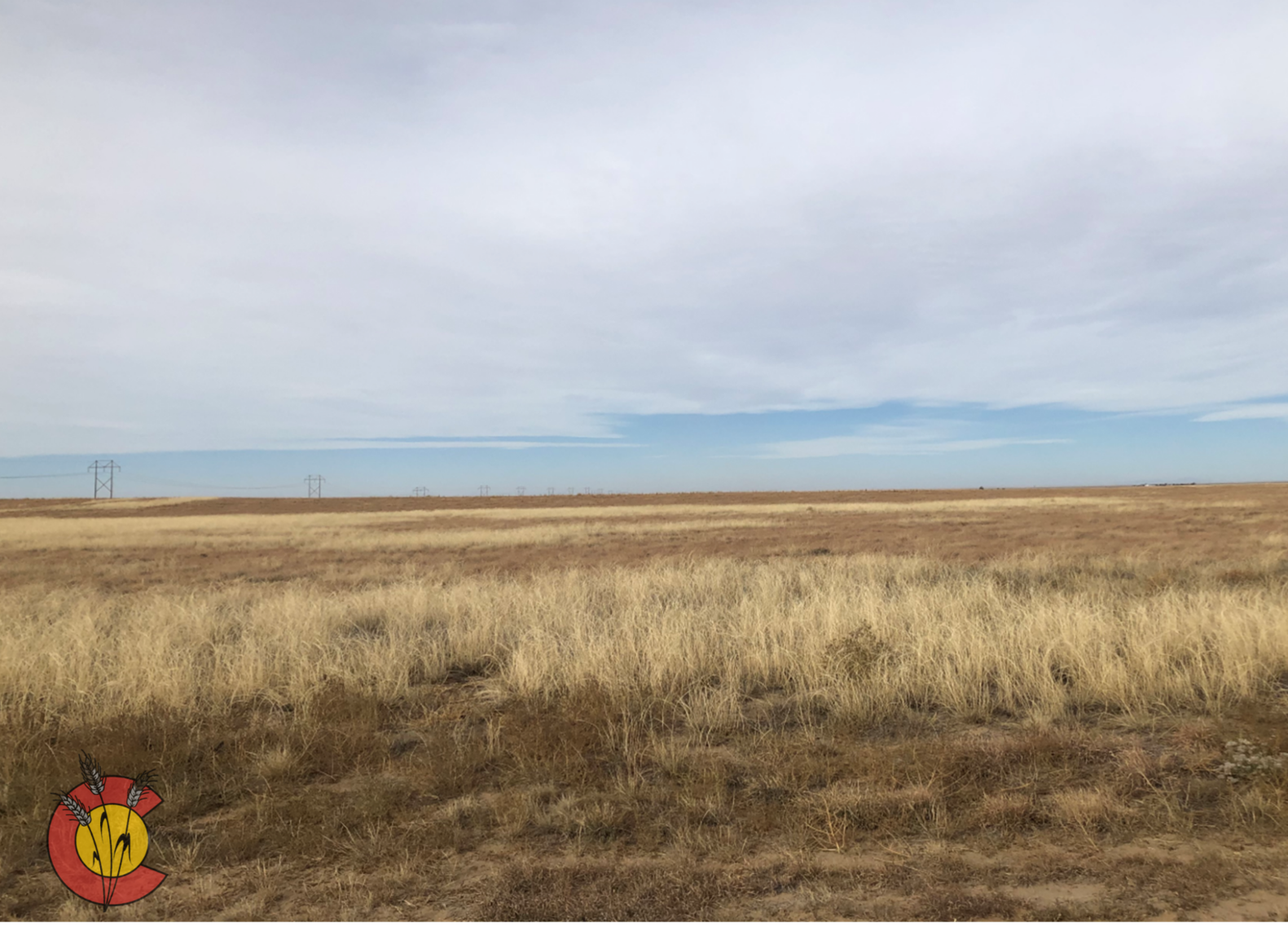Image for KIOWA COUNTY, CO - CRP (C4059)