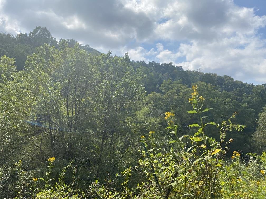 Image for SOLD $80,300 - 90+/- Acres