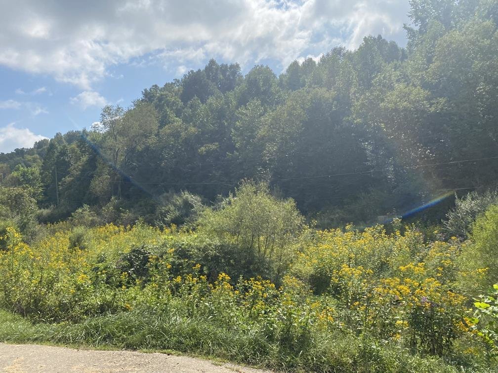 Image for SOLD $80,300 - 90+/- Acres