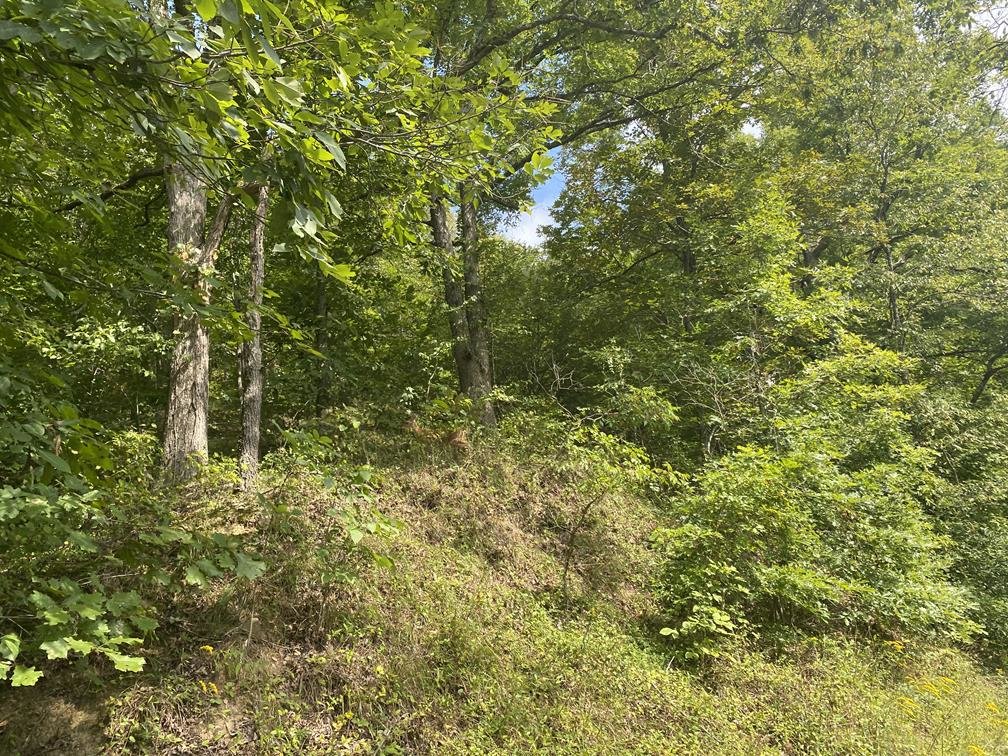 Image for SOLD $80,300 - 90+/- Acres