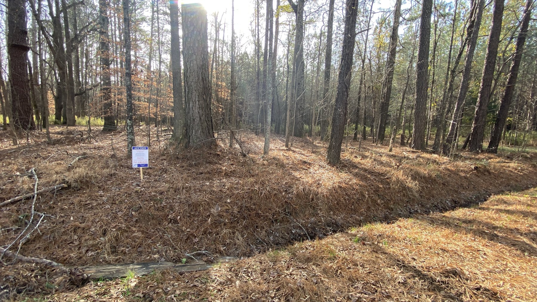 Image for IOW, SURRY & SOUTHAMPTON COUNTY NJ TAX AUCTION