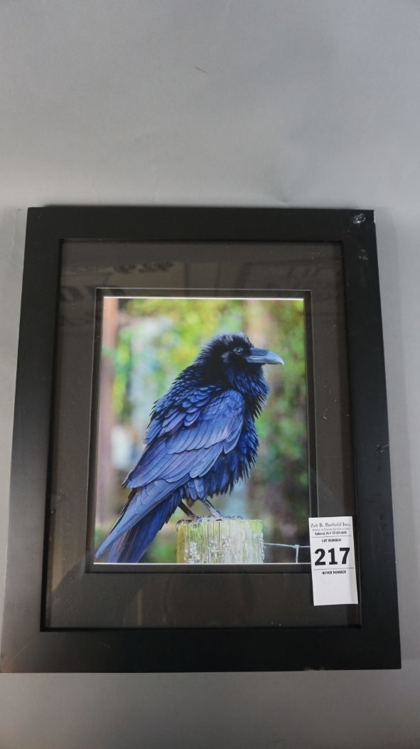 Image for January Sportsman's Auction '21