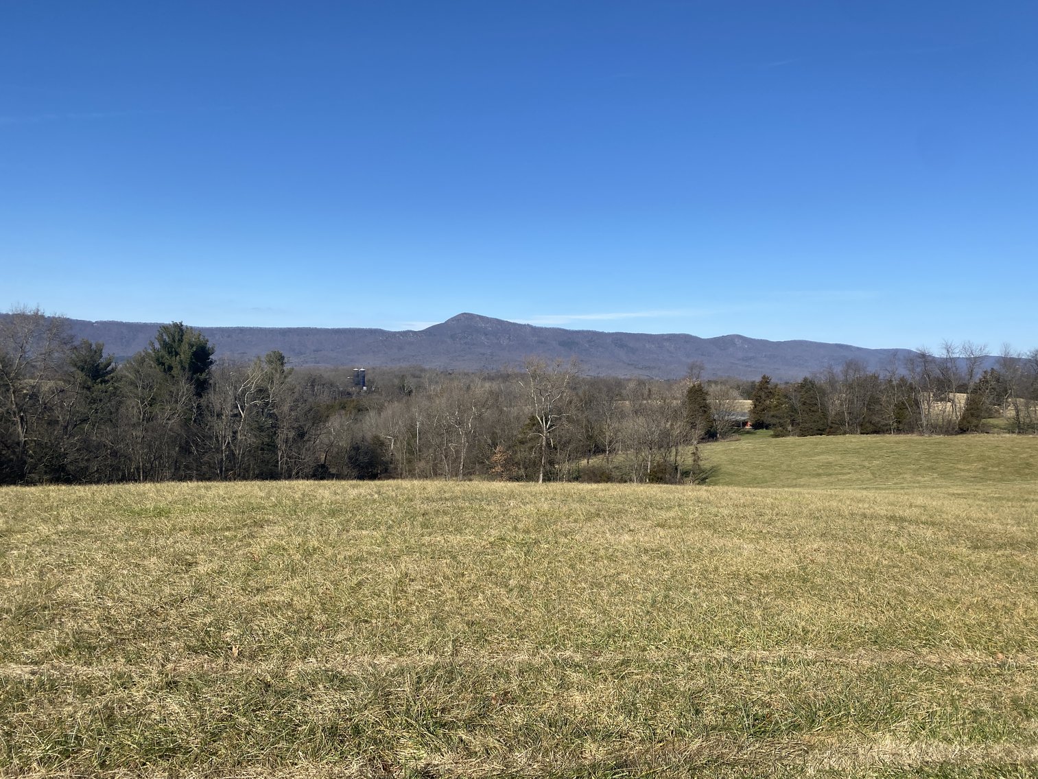 Image for 4 BR/3 BA Home on 20 +/- Acres w/Gorgeous Mountain Views, Multiple Barns/Outbuildings & Creek on Property--Page County, VA