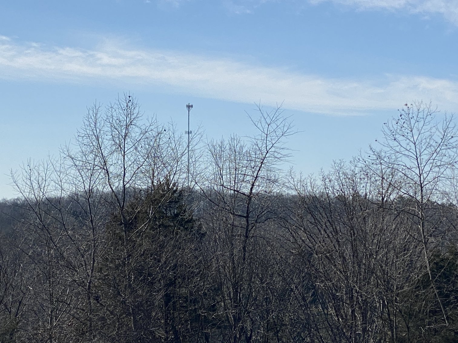 Image for 4 BR/3 BA Home on 20 +/- Acres w/Gorgeous Mountain Views, Multiple Barns/Outbuildings & Creek on Property--Page County, VA