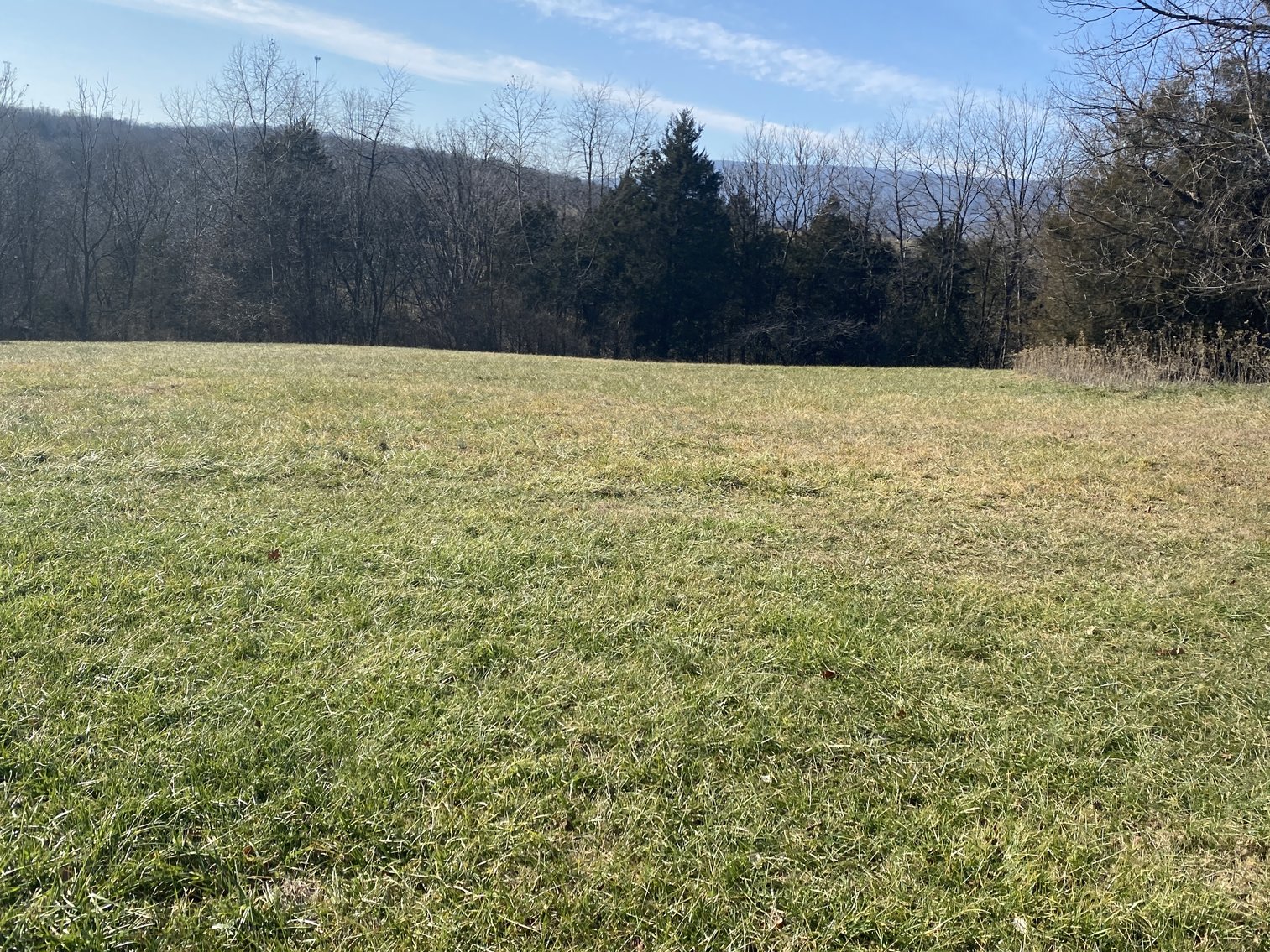 Image for 4 BR/3 BA Home on 20 +/- Acres w/Gorgeous Mountain Views, Multiple Barns/Outbuildings & Creek on Property--Page County, VA