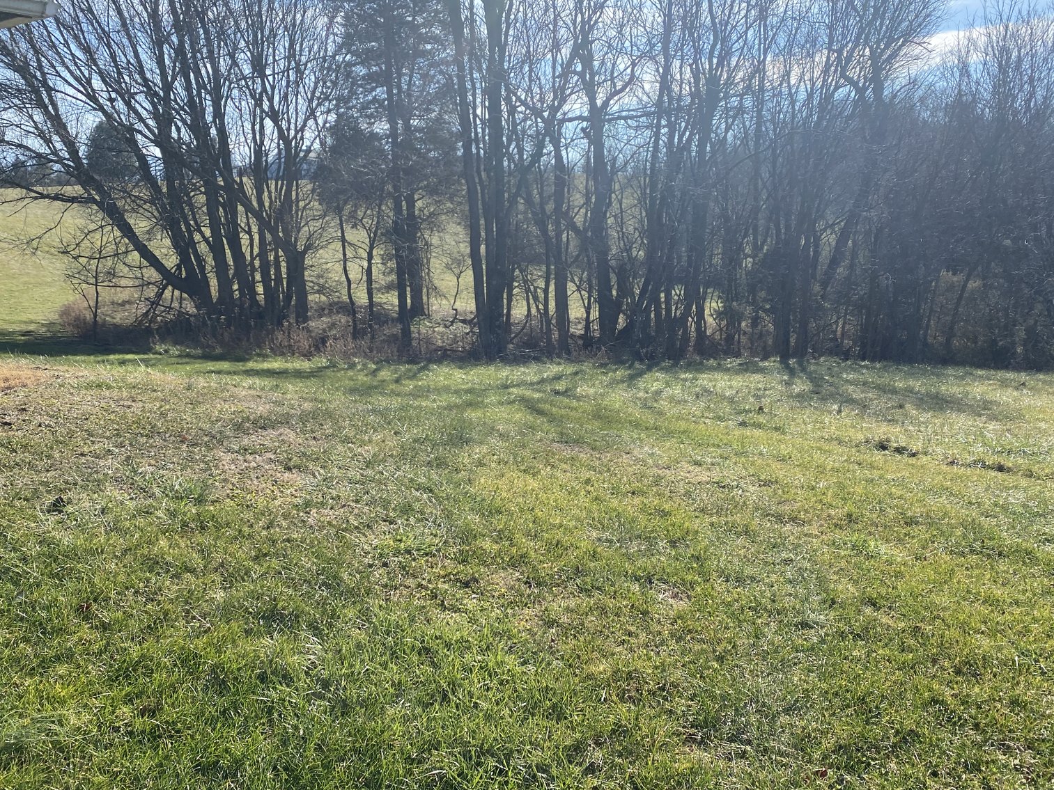 Image for 4 BR/3 BA Home on 20 +/- Acres w/Gorgeous Mountain Views, Multiple Barns/Outbuildings & Creek on Property--Page County, VA