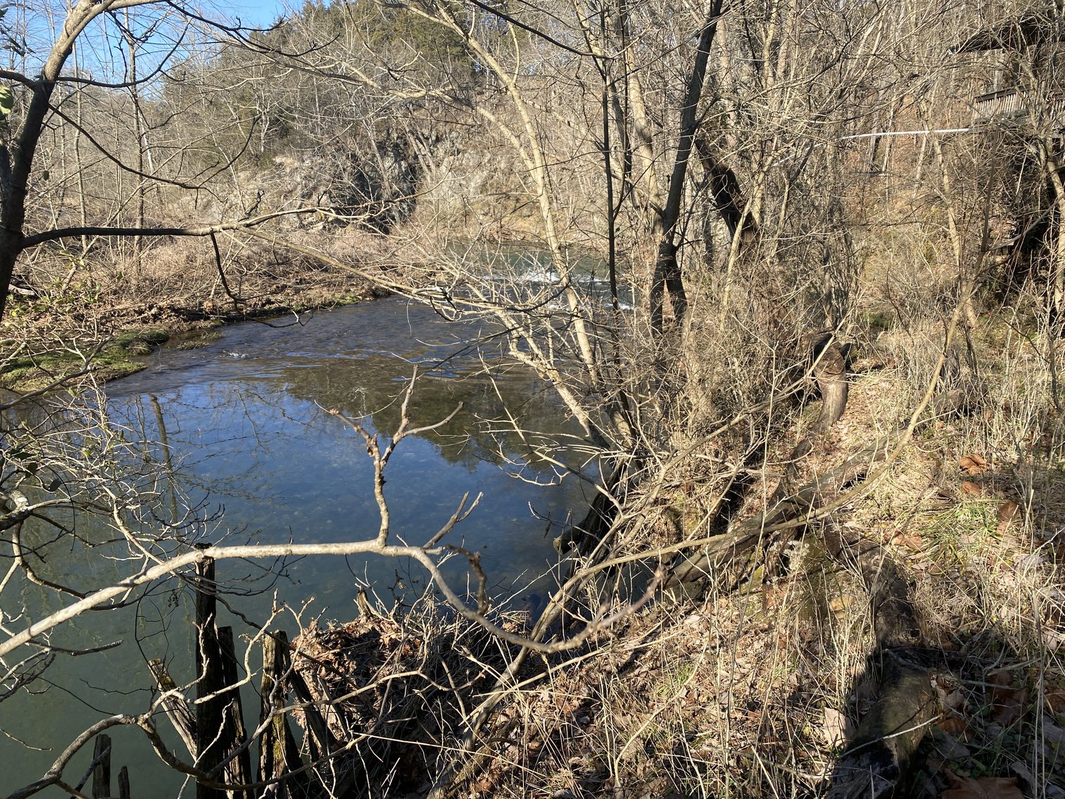 Image for 4 BR/3 BA Home on 20 +/- Acres w/Gorgeous Mountain Views, Multiple Barns/Outbuildings & Creek on Property--Page County, VA