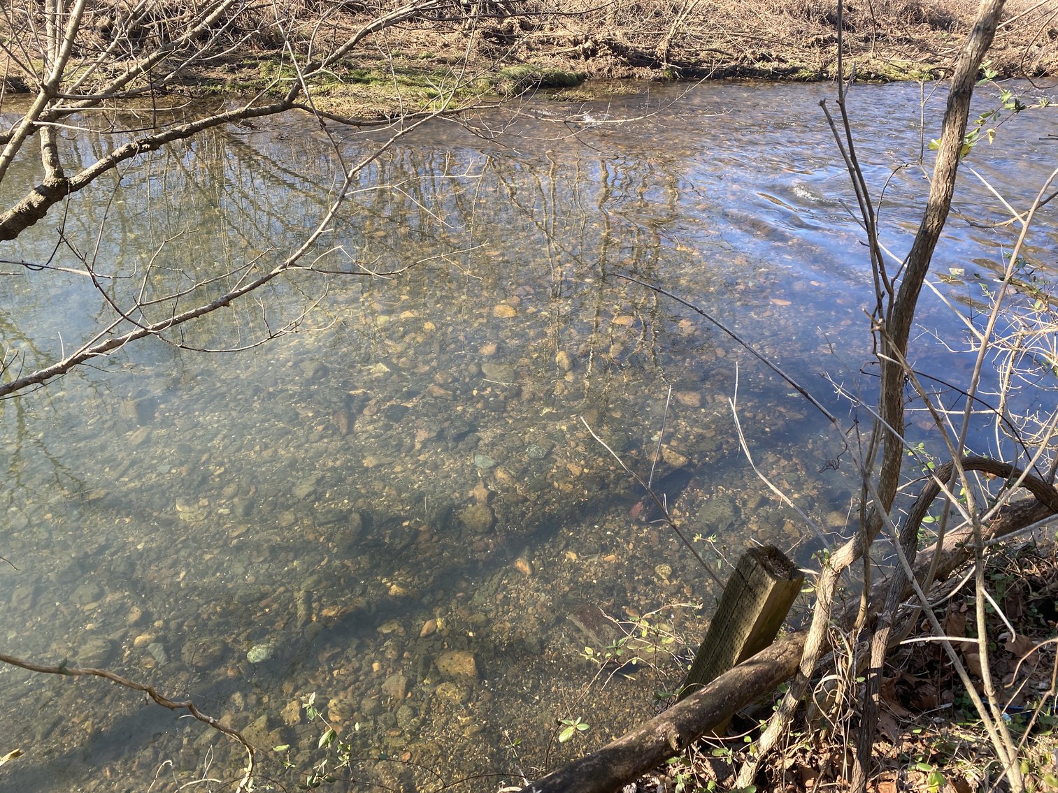 Image for 4 BR/3 BA Home on 20 +/- Acres w/Gorgeous Mountain Views, Multiple Barns/Outbuildings & Creek on Property--Page County, VA