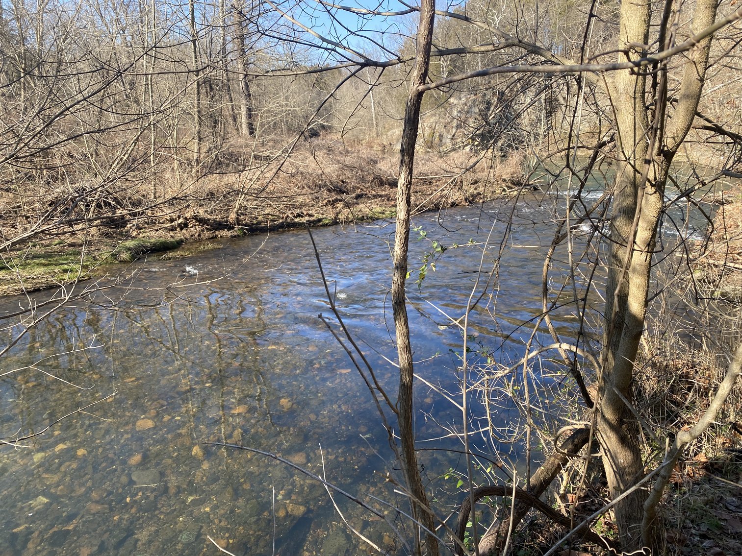 Image for 4 BR/3 BA Home on 20 +/- Acres w/Gorgeous Mountain Views, Multiple Barns/Outbuildings & Creek on Property--Page County, VA