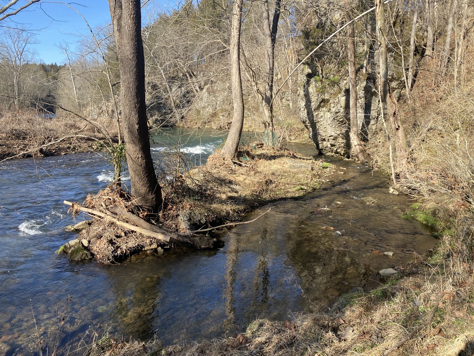 Image for 4 BR/3 BA Home on 20 +/- Acres w/Gorgeous Mountain Views, Multiple Barns/Outbuildings & Creek on Property--Page County, VA