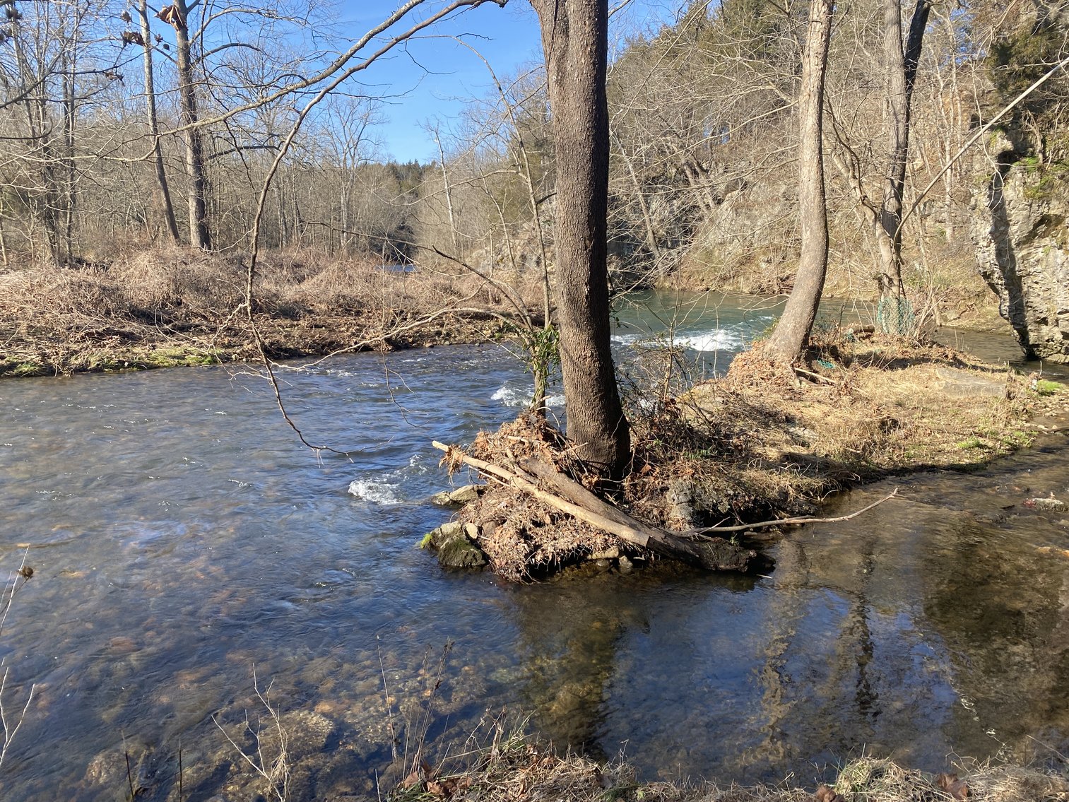 Image for 4 BR/3 BA Home on 20 +/- Acres w/Gorgeous Mountain Views, Multiple Barns/Outbuildings & Creek on Property--Page County, VA