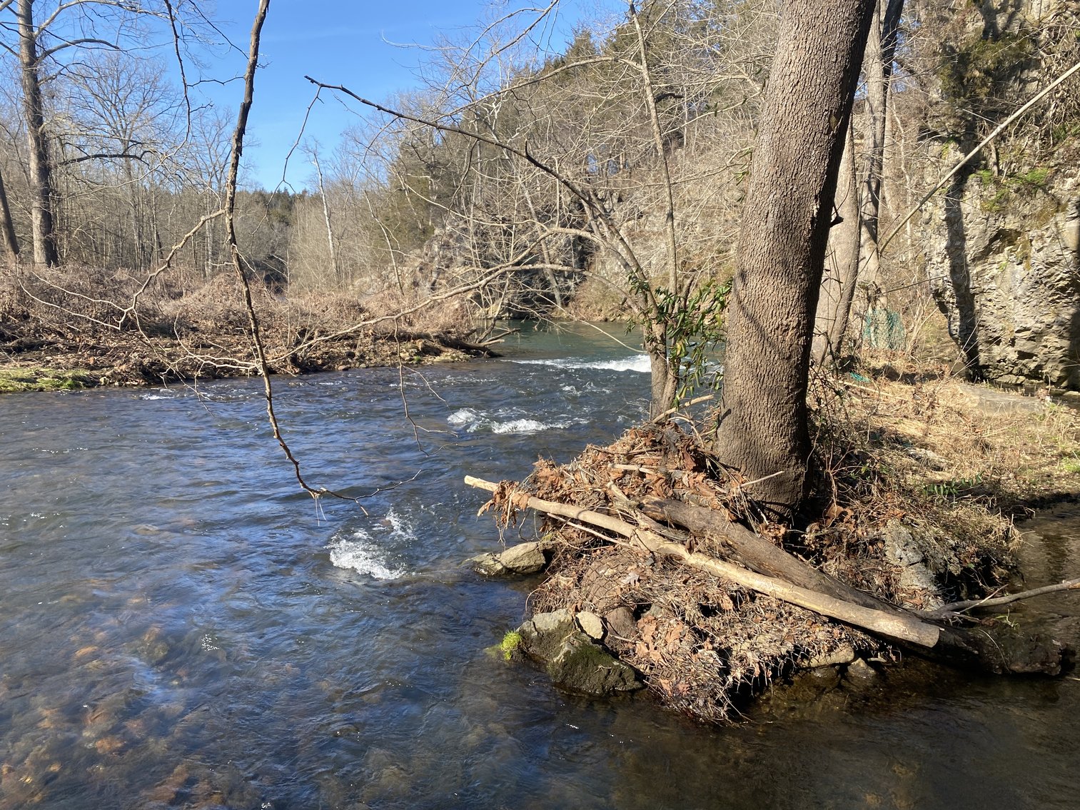 Image for 4 BR/3 BA Home on 20 +/- Acres w/Gorgeous Mountain Views, Multiple Barns/Outbuildings & Creek on Property--Page County, VA