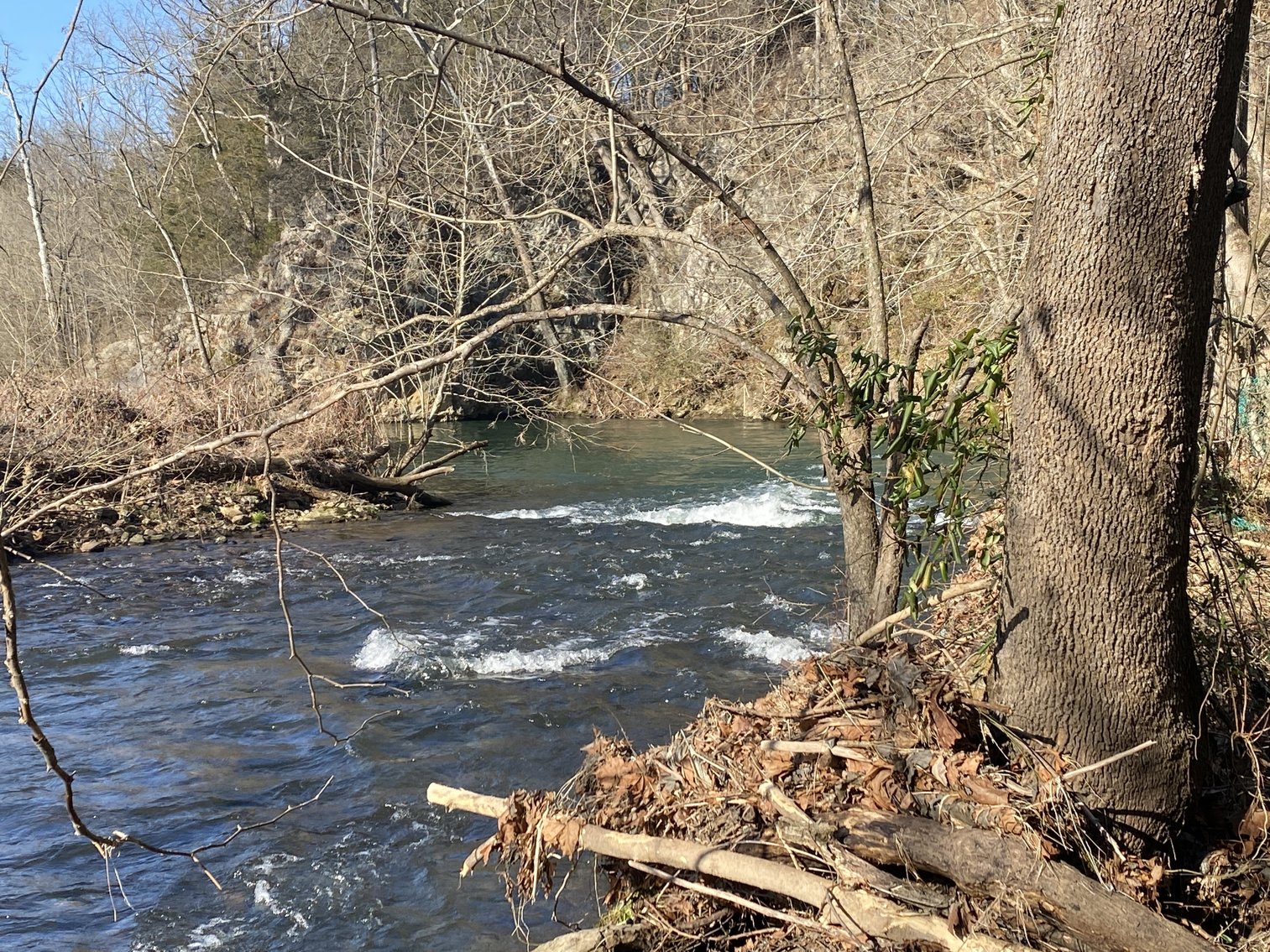 Image for 4 BR/3 BA Home on 20 +/- Acres w/Gorgeous Mountain Views, Multiple Barns/Outbuildings & Creek on Property--Page County, VA